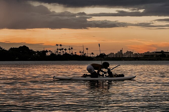 1-Hour Condado Lagoon Paddleboard Rental in San Juan - Gear and Safety: Leash, Life Jacket, and the 220 lb Limit