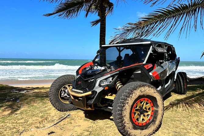 3-Hour Private UTV Tour in San Juan - Ocean Park’s Playa Último Trolley: beach access and a classic San Juan rhythm