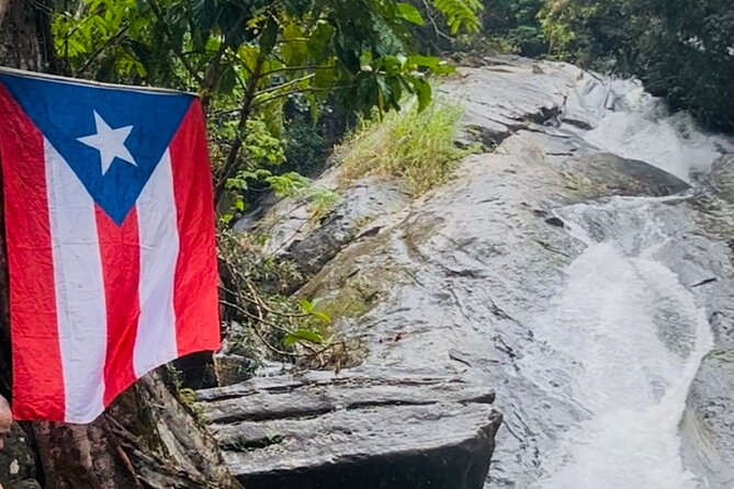 3 Tours in 1 Day: Old San Juan, Rainforest, Beach with Transport - The Big Idea: One Island Day Covering City, Jungle, and Coast