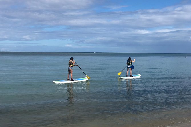 All-Day Paddleboard Rental – Fajardo, Puerto Rico - Key Highlights You’ll Care About