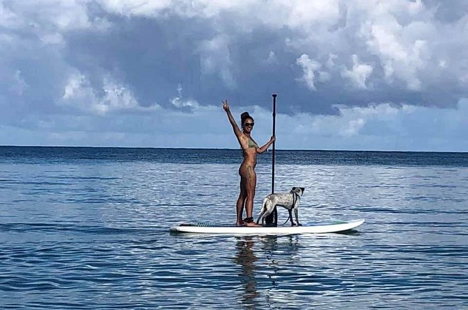 All-Day Paddleboard Rental – Fajardo, Puerto Rico - Your Tutorial and Safety Setup (What You’ll Want to Pay Attention To)