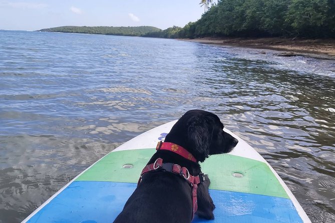All-Day Paddleboard Rental – Fajardo, Puerto Rico - What’s Provided—and What You Need to Bring