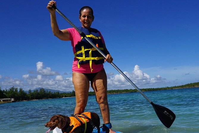 All-Day Paddleboard Rental – Fajardo, Puerto Rico - Meeting Point Timing: How the Day Works in Real Life