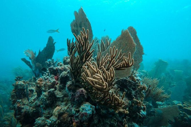 All Inclusive Beach and Snorkel Boat Tour to Icacos Island - What’s included vs not included (so you don’t get surprised)