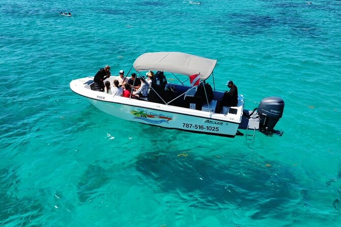 All-Inclusive Private Charter to Icacos or Palomino Islands - Value for Money: Why $750 Per Group Can Make Sense