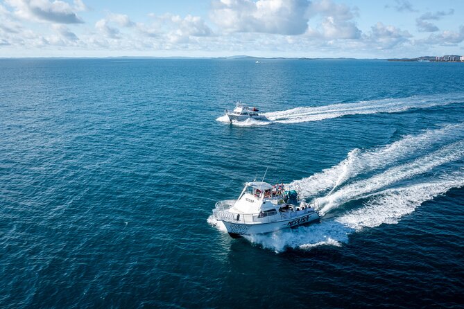All Inclusive Snorkel and Slide Boat Tour: Icacos or Vieques - Price and what $135 actually buys you