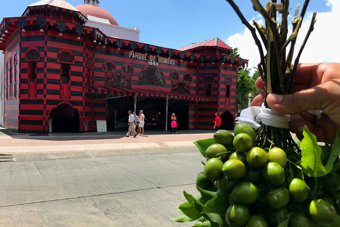 Around the Island Tour From San Juan - Quick hits before you go