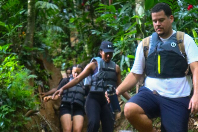 Authentic El Yunque Rainforest Adventure — Waterfalls & Slides - What you actually get for $35.99 and why it feels fair
