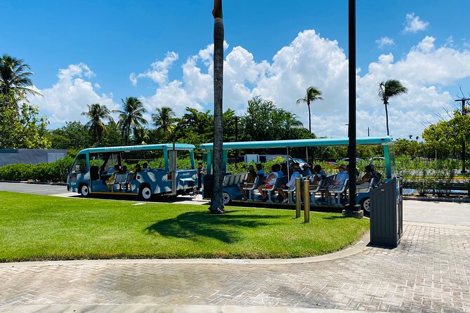 Bacardi Rum Distillery and Old San Juan Tour - The Flow of the Day: Why Timing Feels Tight but Works