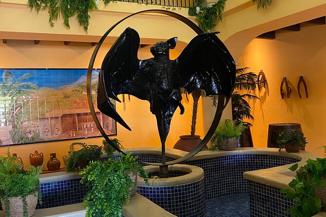 Bacardi Rum Distillery and Old San Juan Tour - Comfort, Heat, and Van Size: What to Expect in the Transport