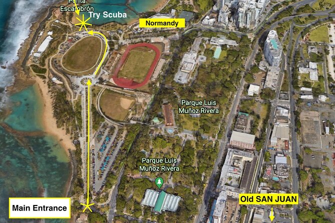 Beginner Scuba Diving with Turtles and Videos, San Juan - Where things can go sideways (so you can plan smarter)