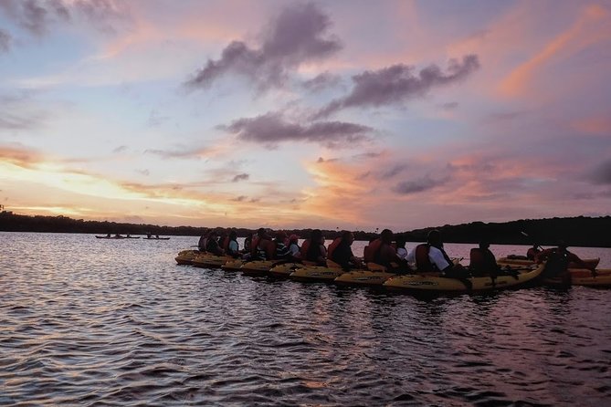 Bio Bay Kayak Tour in Fajardo - The Tarp + Light Pollution Factor (And Why It’s Not a Gimmick)