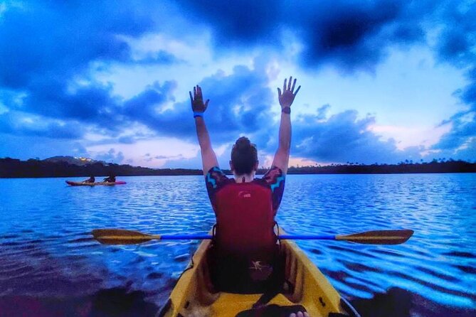 Bio Bay Night Kayak Tour in Fajardo - Key things to know before you go