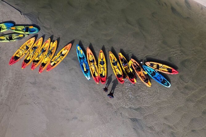 Bio Bay Night Kayak Tour in Fajardo - How Bioluminescence Works Here (and Why the Rules Matter)