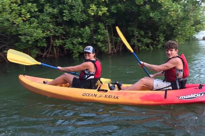 Bio Bay Night Kayak Tour in Fajardo - The Glow: What to Expect When Your Paddle Hits the Water