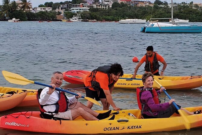 Bio Bay Night Kayak Tour in Fajardo - Paddling Reality: Currents, Group Mix, and Pace