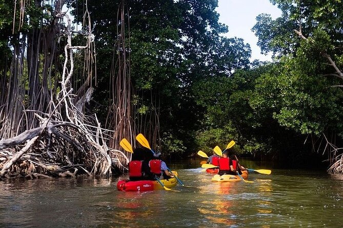 Bio Bay Night Kayak Tour in Fajardo - What to Bring (and What to Skip)