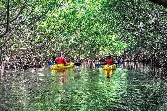 Bio Bay Night Kayak Tour in Fajardo - Meeting Point Tips: Kayak Village to Back Again