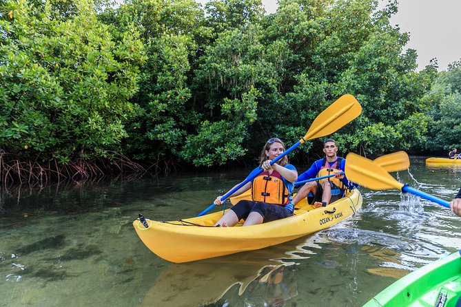 Bio Bay Night Kayak Tour with Transport from San Juan - Key things that make this Bio Bay kayak tour worth your time