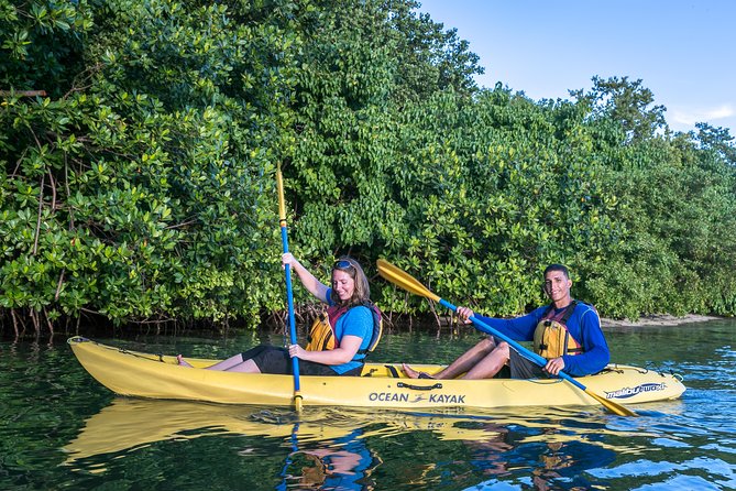 Bio Bay Night Kayak Tour with Transport from San Juan - San Juan to Fajardo: how transport affects your whole night