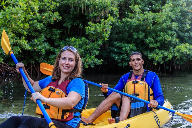Bio Bay Night Kayaking | Laguna Grande, Fajardo - The Bio Bay Moment: What Causes the Sparkle, and Why It Changes