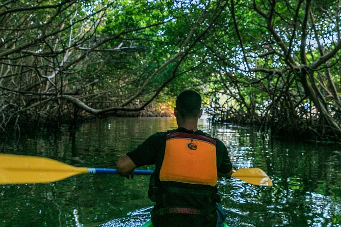 Bio Bay Night Kayaking | Laguna Grande, Fajardo - Price and Value: Is $65 Worth the Work?