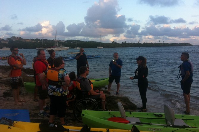 Bio Bay Night Kayaking with Transport from San Juan Area - Stop 1: Laguna Grande mangrove reserve and your first glow moments