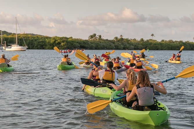 Bio Bay Night Kayaking with Transport from San Juan Area - Transportation from San Juan: the value in the logistics