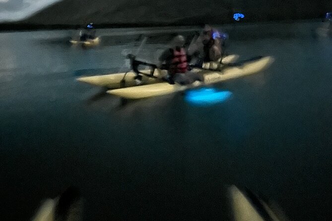 Bioluminescent Bay Chiliboats Waterbike Tour in La Parguera - Phosphorescent Bay: What You’ll See and How to Make It Brighter