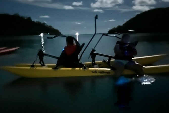 Bioluminescent Bay Chiliboats Waterbike Tour in La Parguera - What to Pack: Water Shoes, Phone Protection, and Leg Comfort