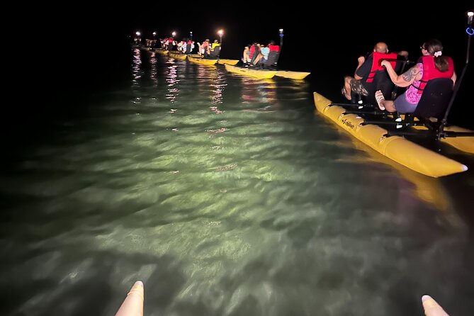 Bioluminescent Bay Chiliboats Waterbike Tour in La Parguera - Price and Value: Is $79 Worth It?