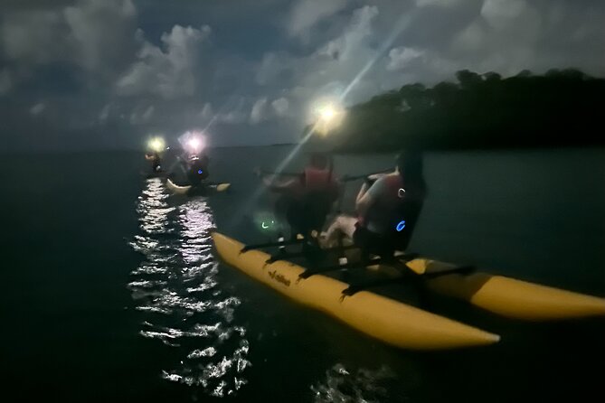 Bioluminescent Bay Chiliboats Waterbike Tour in La Parguera - Eco-Respect Rules: The Safety Stuff That Protects the Bay