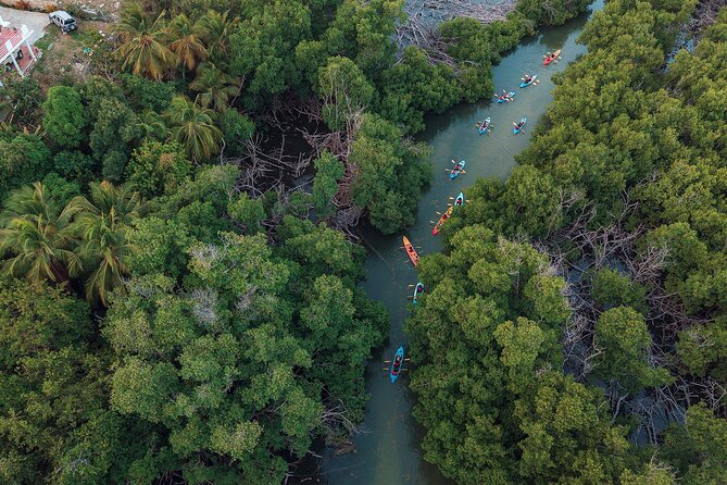 Bioluminescent Bay Night Kayaking Adventure in Puerto Rico - Laguna Grande: Where the Glow Show Actually Happens