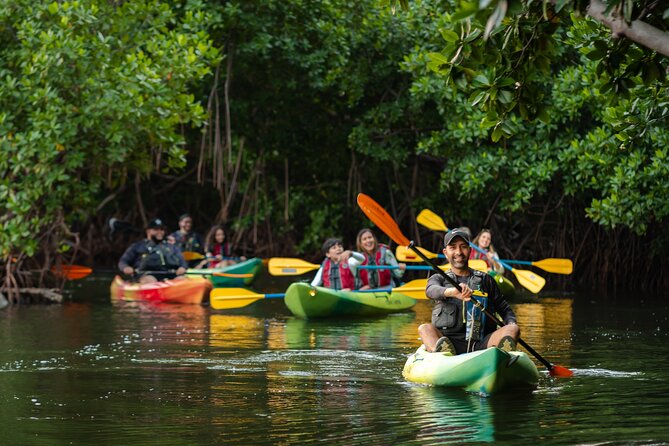 Bioluminescent Bay Night Kayaking Adventure in Puerto Rico - The Tarp Trick: Why Darkness Isn’t Optional