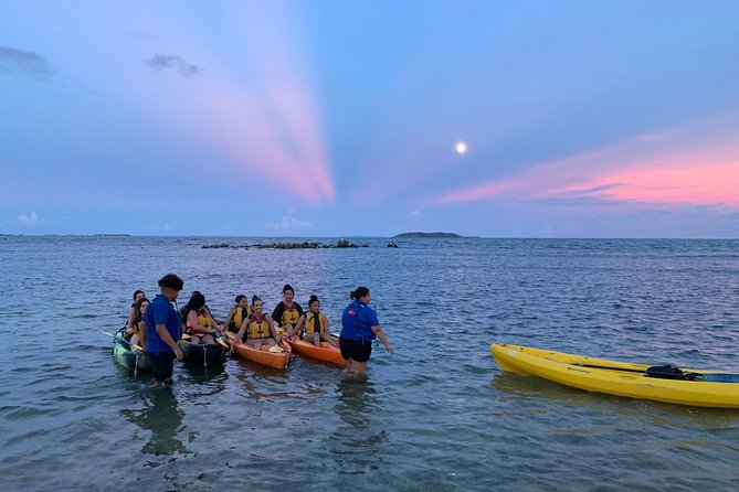 Bioluminescent Bay Night Kayaking, Fajardo - Key Things I’d Put on Your Checklist