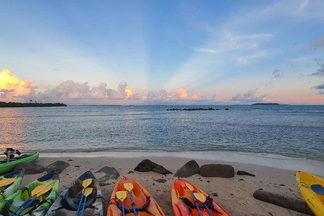 Bioluminescent Bay Night Kayaking, Fajardo - Bioluminescence Reality Check: Moonlight, Tarps, and Varying Glow