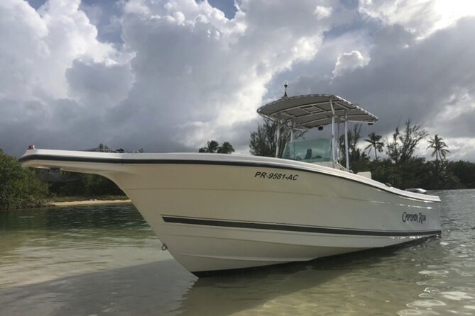 Boat trip in palomino /icacos /fajardo Puerto Rico - Key Things I’d Prioritize Before You Go