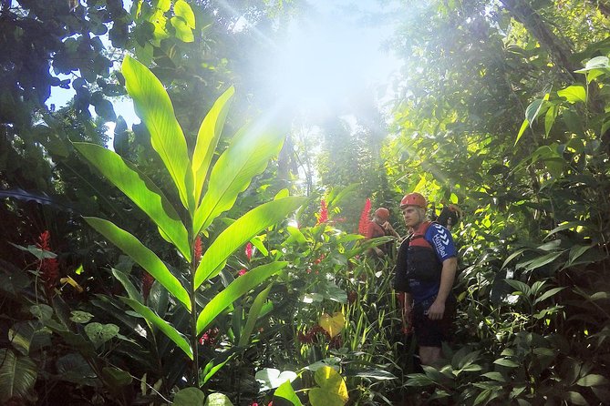 Body Rafting™ & Caving in a Natural Sanctuary - River caves and karst country: the wow factor you came for
