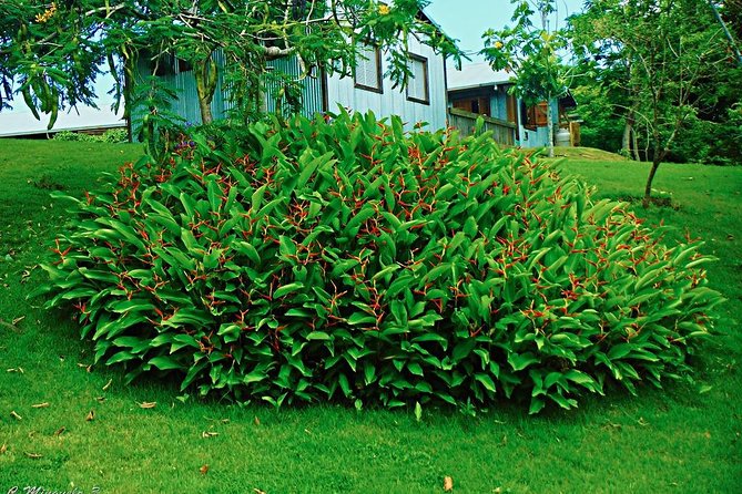 Caguas Cultural Day Trip from San Juan Including Botanical Garden and Lunch - Price and value: is $90 worth it for a 6-hour day?
