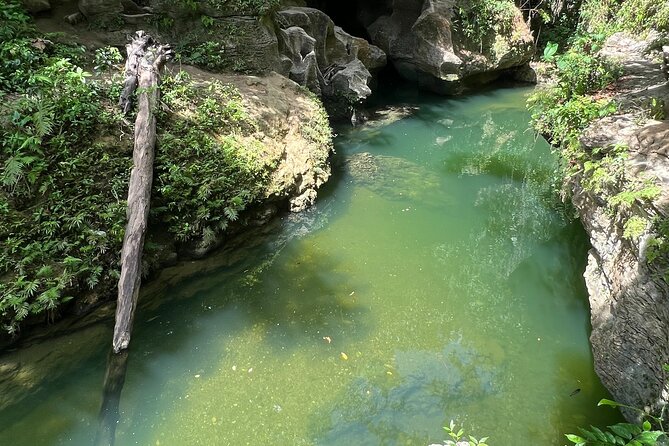 Cave Adventure: Canyon and Hidden Waterfall in Charco Azul - Taíno markings and cave formations: the lessons that make it feel real
