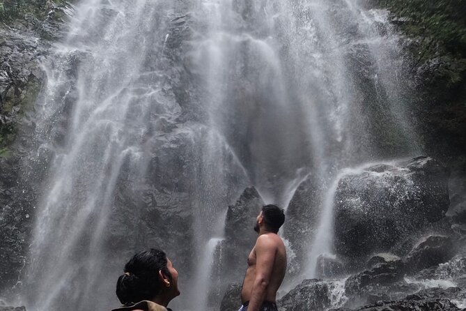 Chase Waterfalls - Discover a hidden 180ft rainforest gem - Key points to know before you go