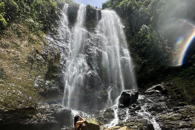 Chase Waterfalls - Discover a hidden 180ft rainforest gem - The 60m (180ft) Waterfall Moment: Fruit, Swimming, and Photos