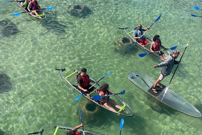 Clear Kayak Tour in Condado Lagoon - Key points at a glance