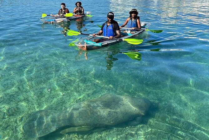 Clear Kayak Tour in Condado Lagoon - First Light on Condado Lagoon: How Early Timing Changes Everything