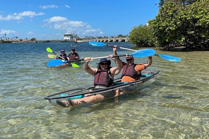 Clear Kayak Tour in Condado Lagoon - What You Might See: Manatees, Pelicans, Sea Stars, and More