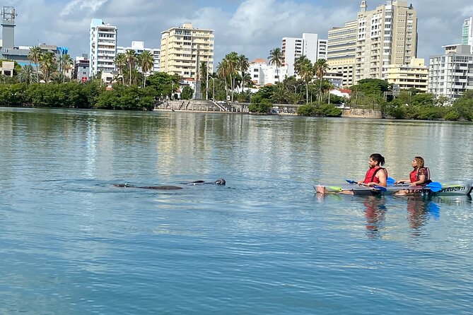 Clear Kayak Tour in Condado Lagoon - Your Guide and the Lagoon Story: What You Learn During the Paddle