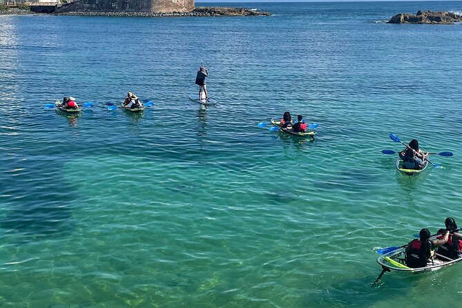 Clear Kayak Tour in Condado Lagoon - Price and Value: Why $59 Feels Fair for What You Get