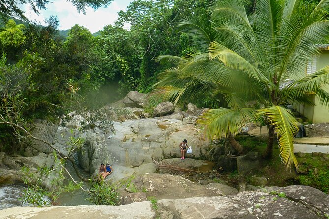 Coffee Plantation and River with Waterfalls in Puerto Rico - Who should book this coffee and waterfall combo