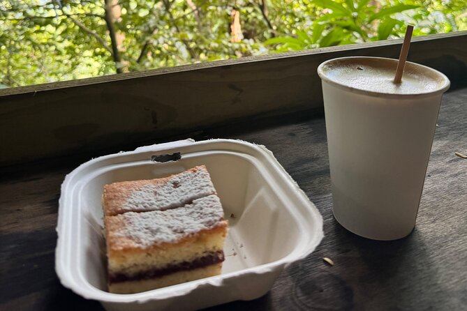 Coffee & Waterfalls Tour: from the mountains to the cup - San Juan to the mountains: timing, pickup, and group size