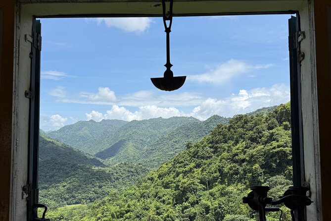 Coffee & Waterfalls Tour: from the mountains to the cup - Toro Negro State Forest: rainforest time without the hard sell